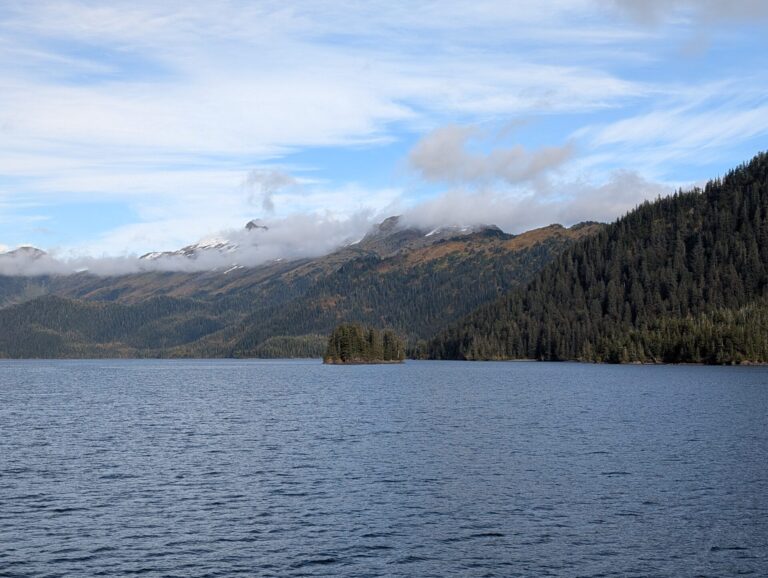 26 Glaciers Cruise - 2025