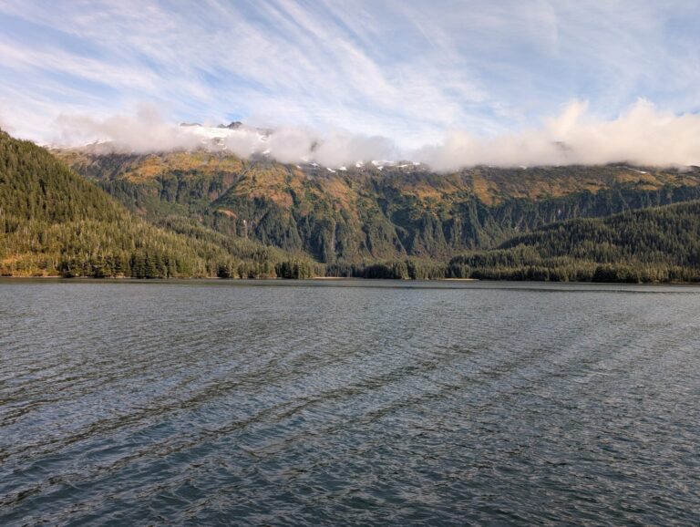 26 Glaciers Cruise - 2025