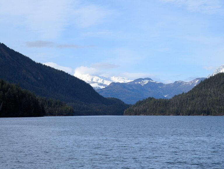 26 Glaciers Cruise - 2025