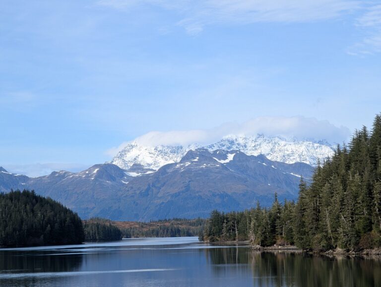 26 Glaciers Cruise - 2025