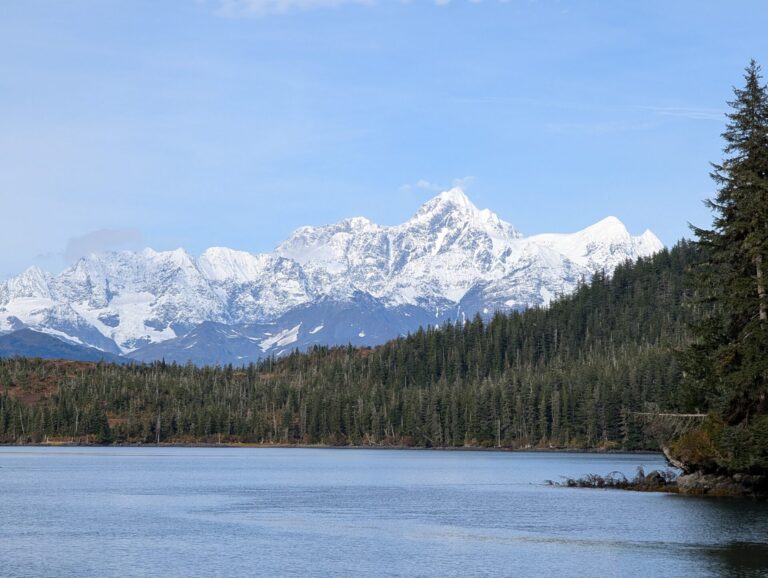 26 Glaciers Cruise - 2025