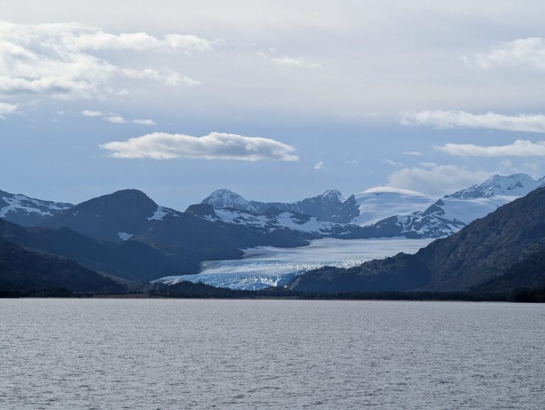 26 Glaciers Cruise - 2025