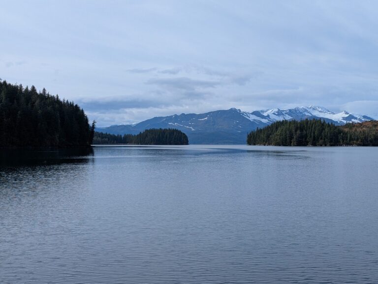 26 Glaciers Cruise - 2025