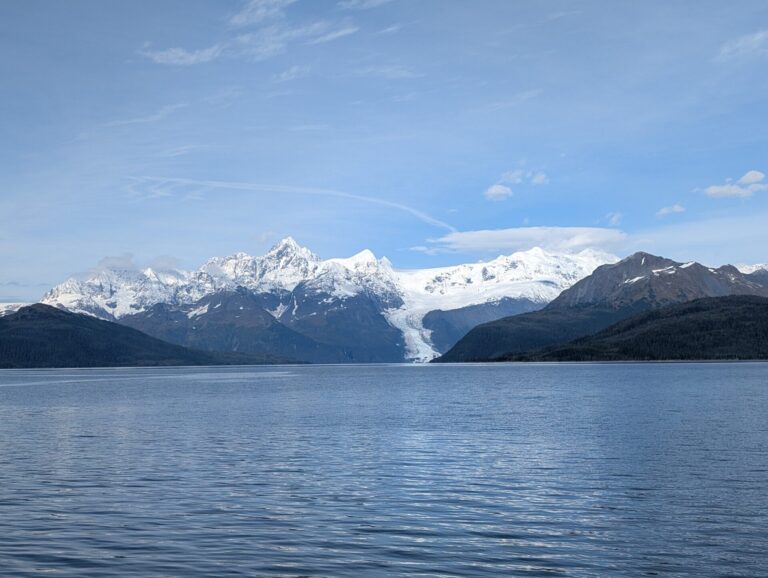 26 Glaciers Cruise - 2025
