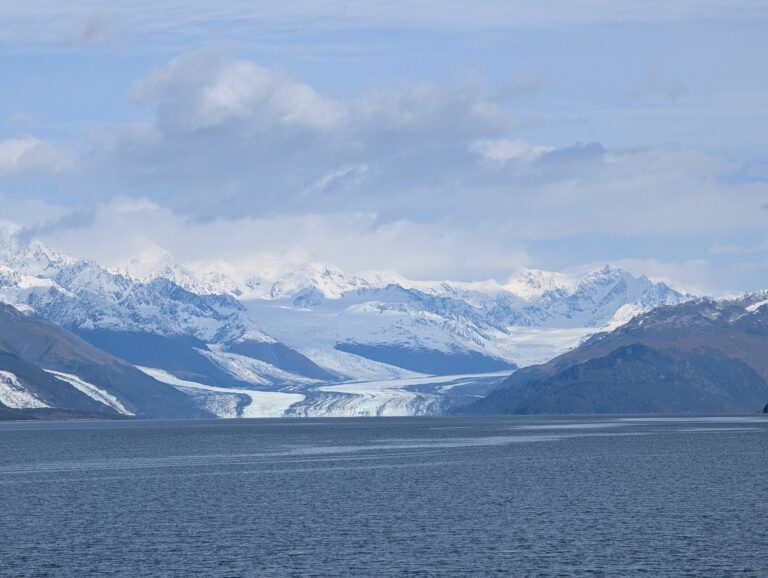 26 Glaciers Cruise - 2025