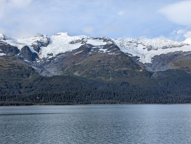 26 Glaciers Cruise - 2025
