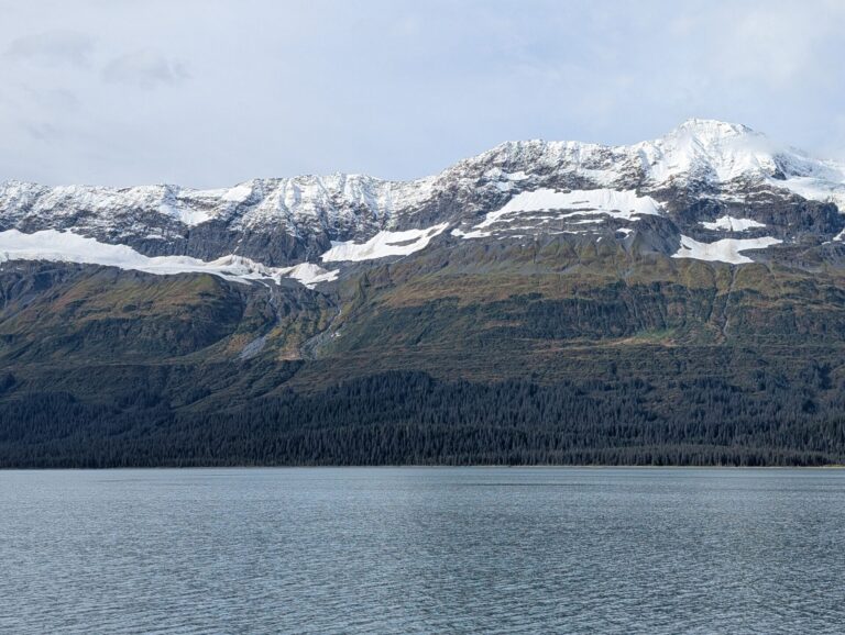26 Glaciers Cruise - 2025
