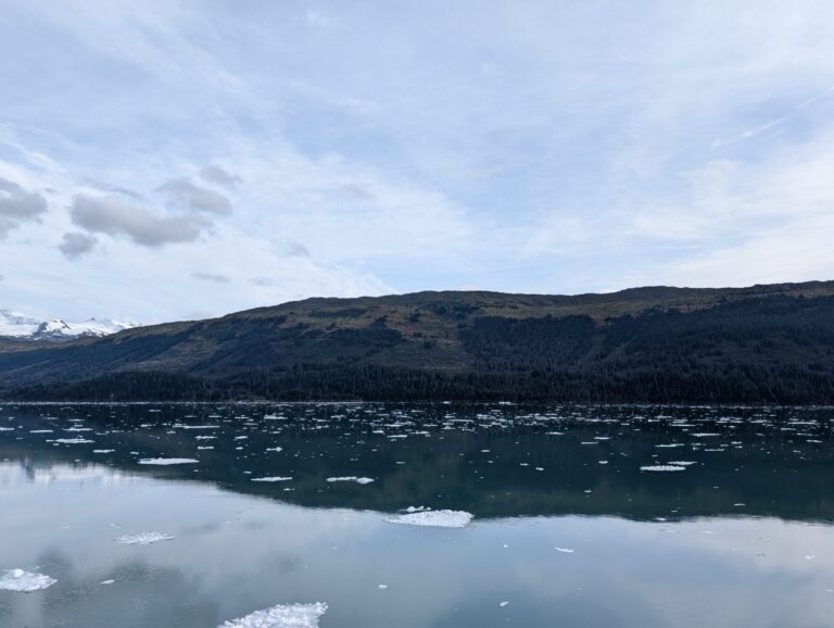 26 Glaciers Cruise - 2025