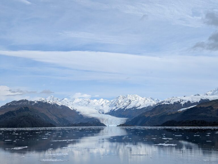 26 Glaciers Cruise - 2025