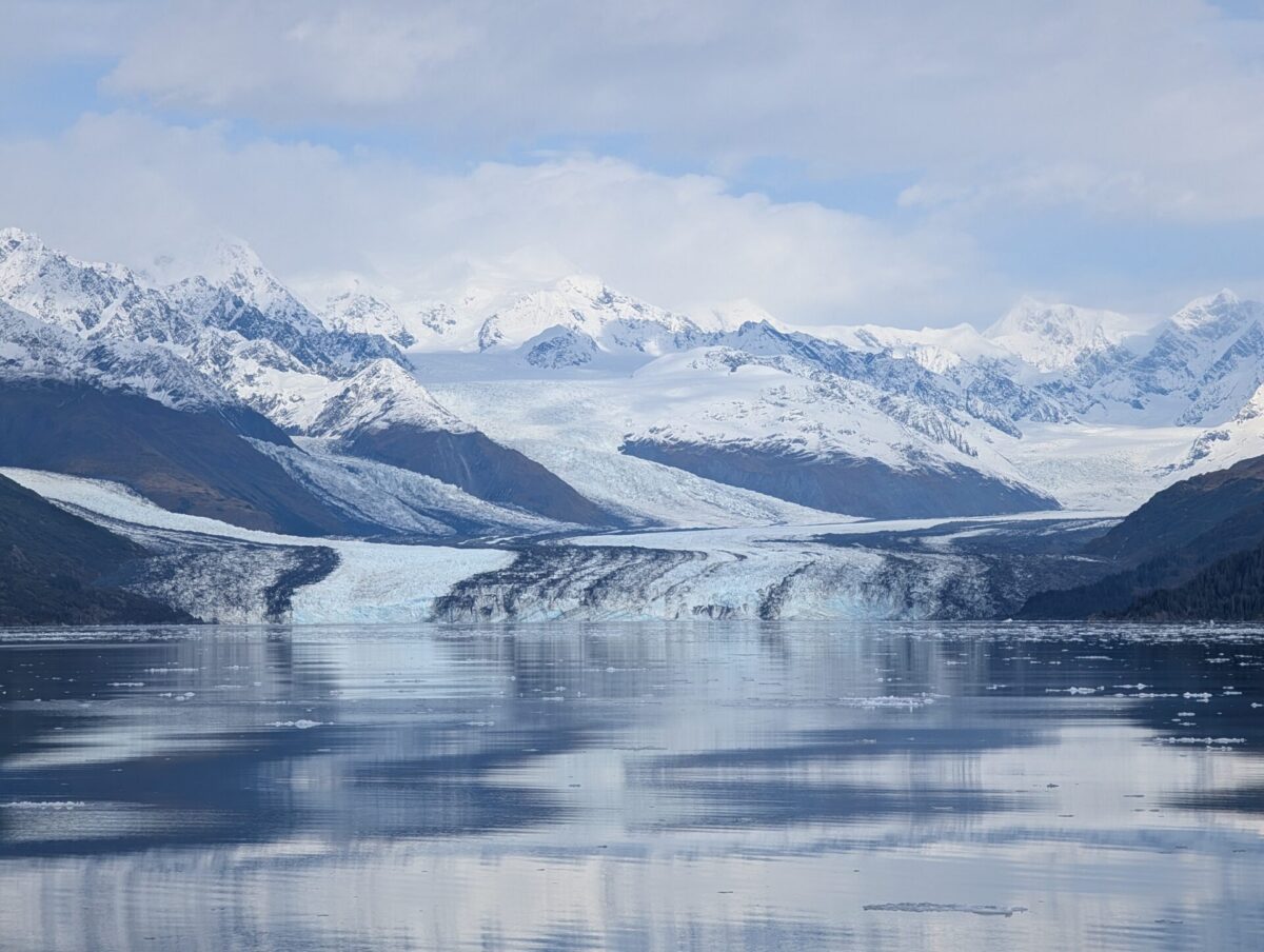 26 Glaciers Cruise - 2025