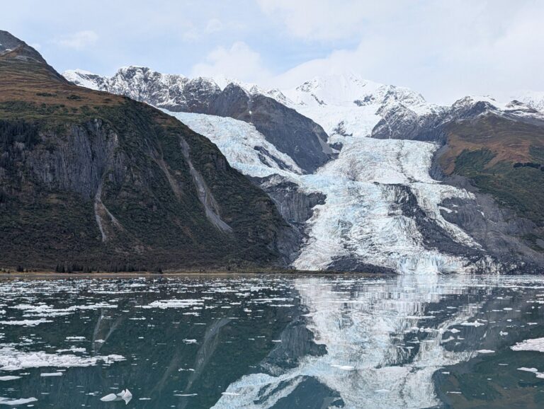 26 Glaciers Cruise - 2025