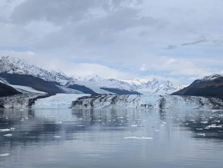 26 Glaciers Cruise - 2025