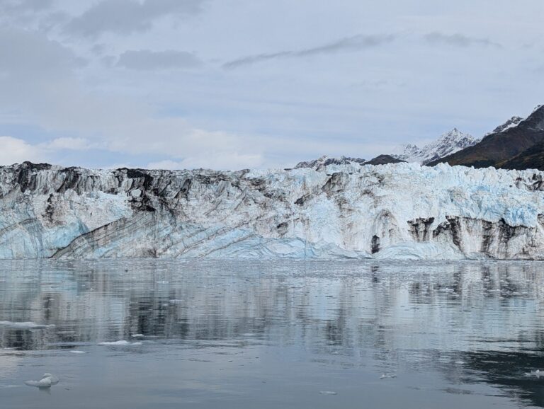 26 Glaciers Cruise - 2025