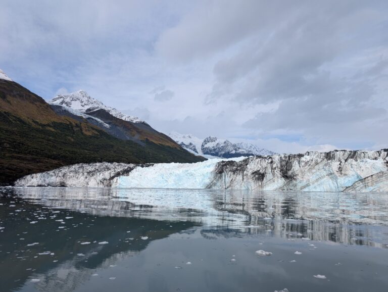 26 Glaciers Cruise - 2025