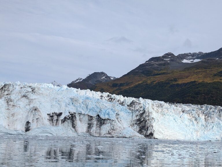 26 Glaciers Cruise - 2025