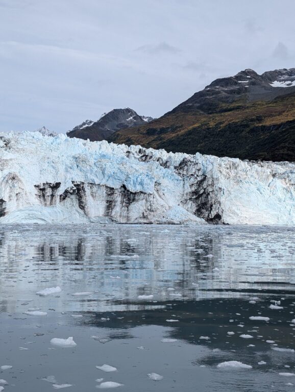 26 Glaciers Cruise - 2025