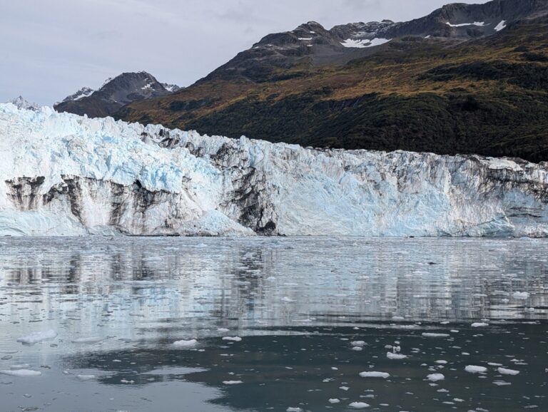 26 Glaciers Cruise - 2025