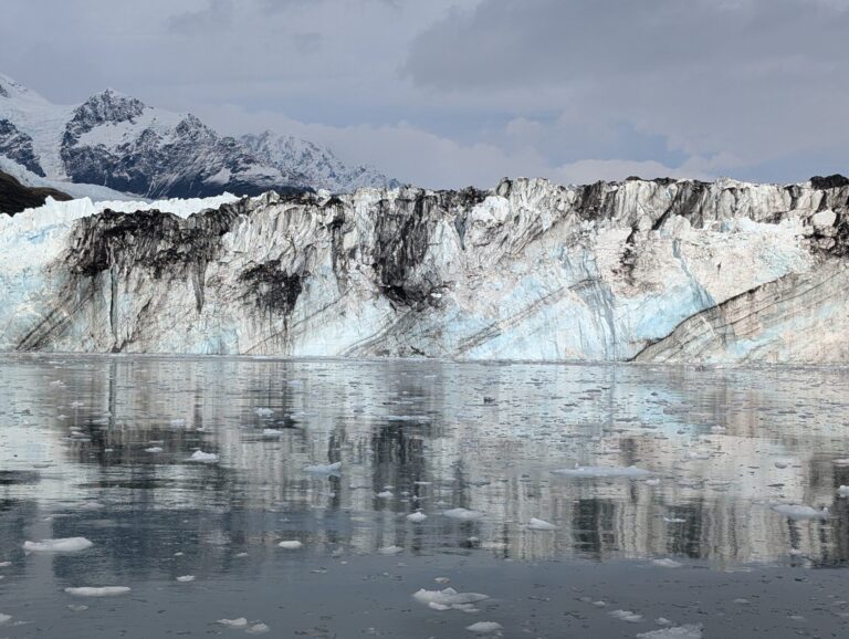 26 Glaciers Cruise - 2025