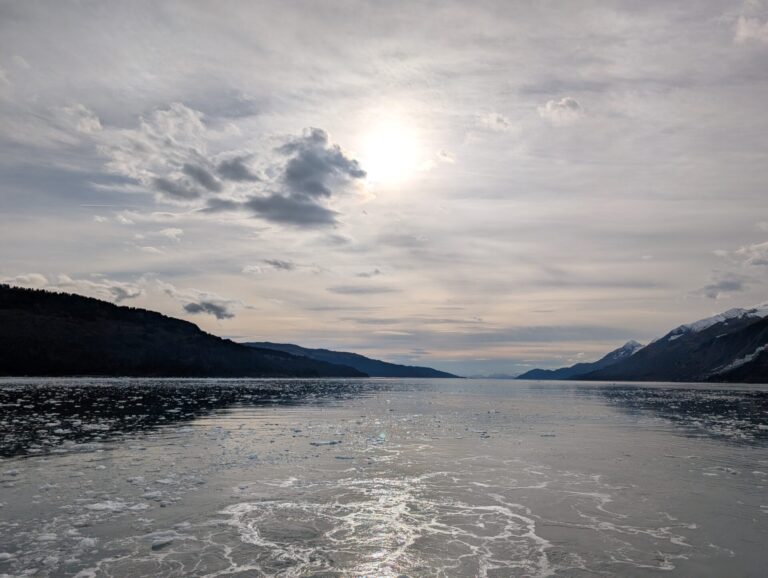 26 Glaciers Cruise - 2025