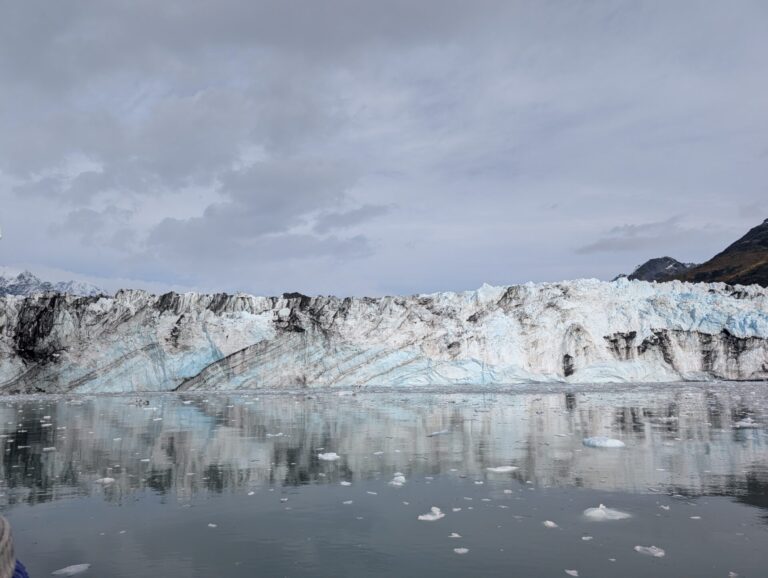 26 Glaciers Cruise - 2025