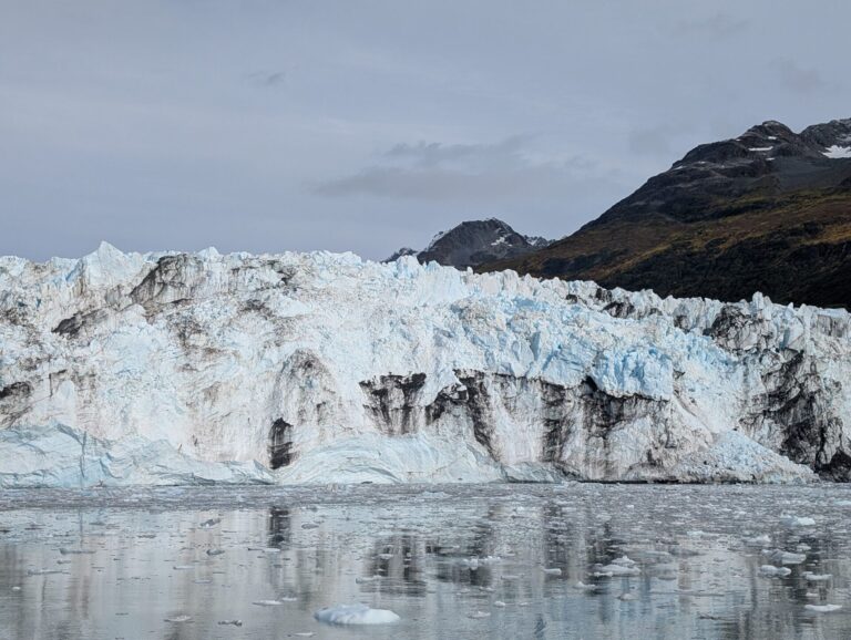 26 Glaciers Cruise - 2025
