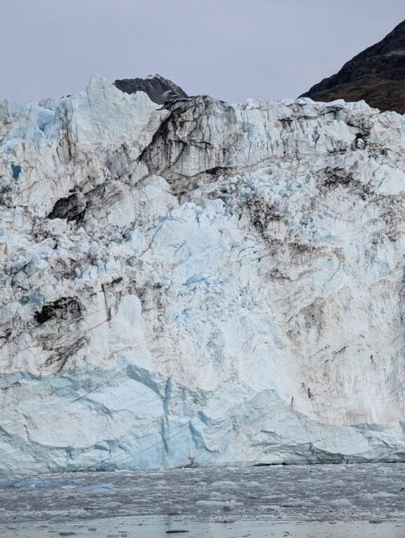 26 Glaciers Cruise - 2025