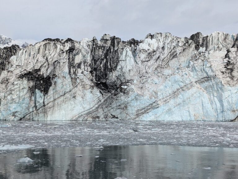 26 Glaciers Cruise - 2025