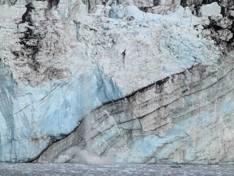 26 Glaciers Cruise - 2025