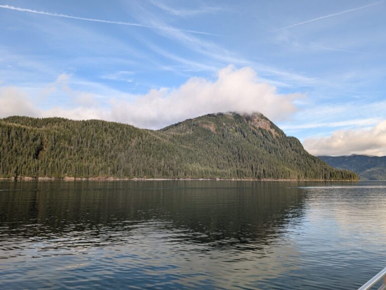 26 Glaciers Cruise - 2025