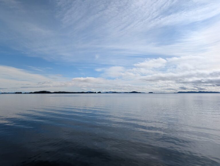 26 Glaciers Cruise - 2025