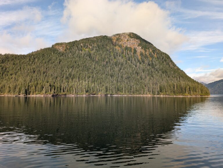 26 Glaciers Cruise - 2025