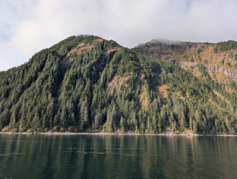 26 Glaciers Cruise - 2025