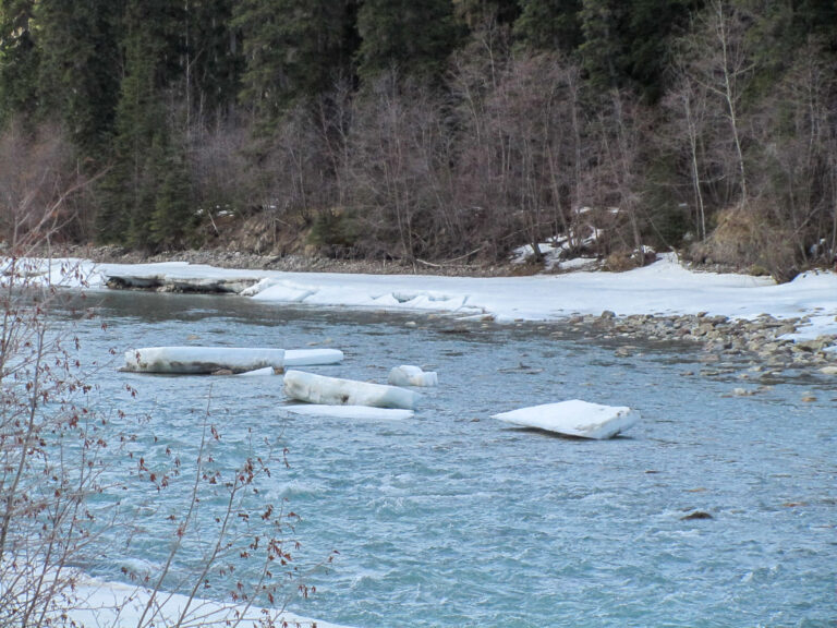 Alaska Highway - 2010