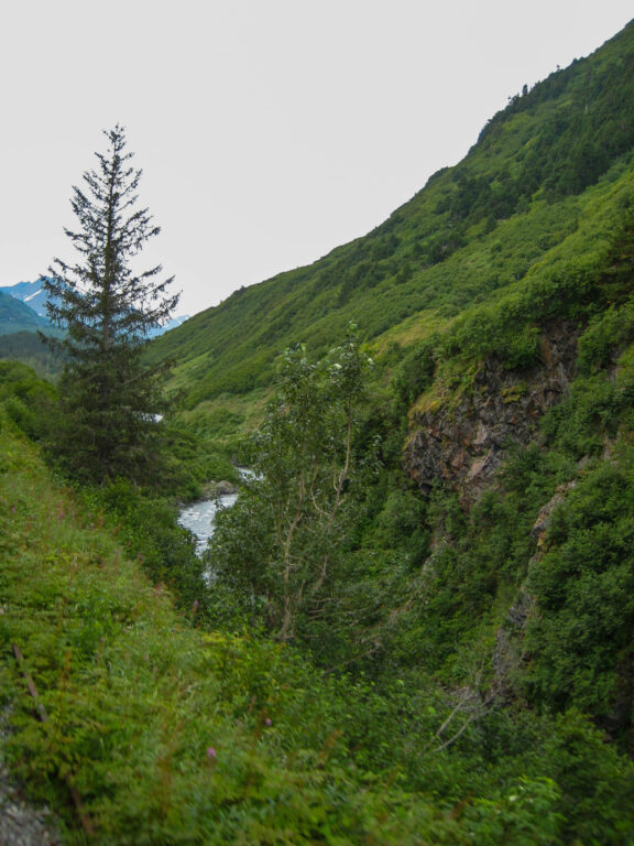 Alaska Railroad - 2009