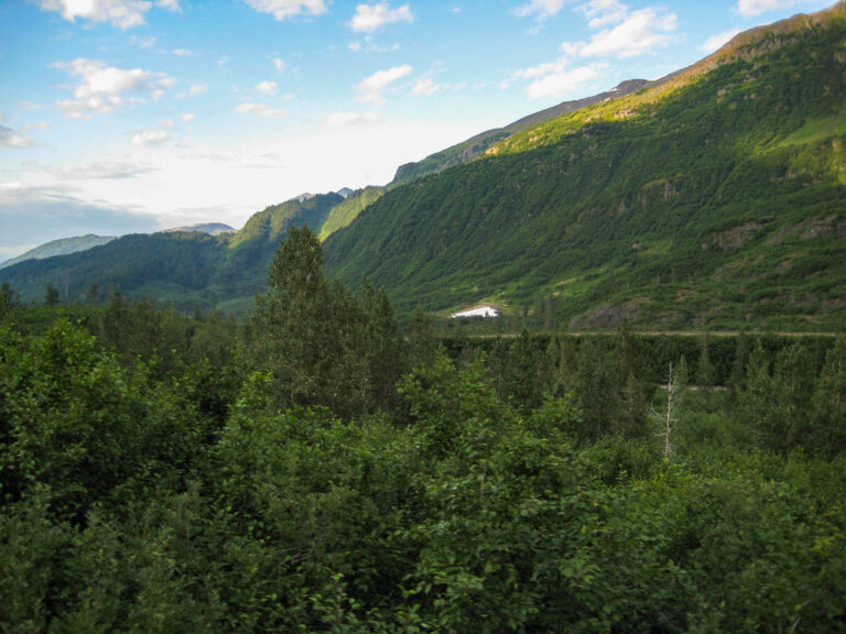 Alaska Railroad - 2009