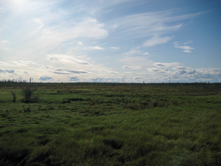 Alaska Railroad - 2009