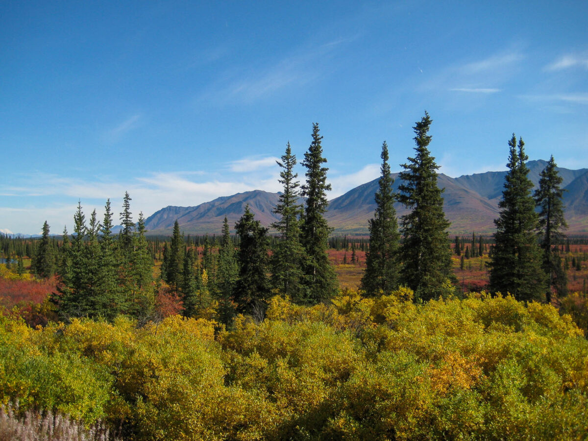 Alaska Railroad - 2009