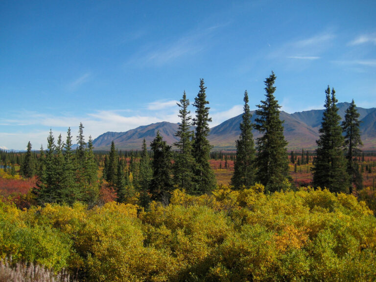 Alaska Railroad - 2009