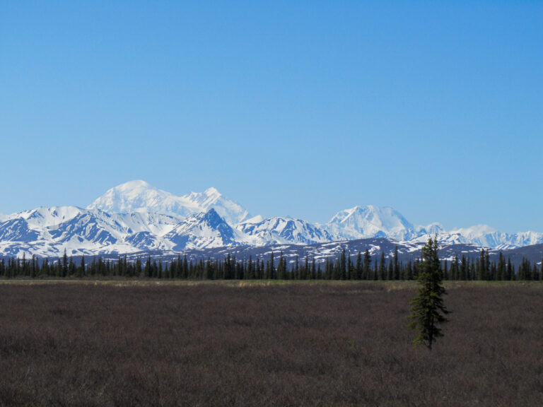 Alaska Railroad- 2010