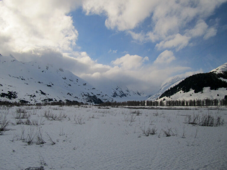 Alaska Railroad- 2010