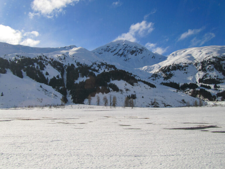 Alaska Railroad- 2010