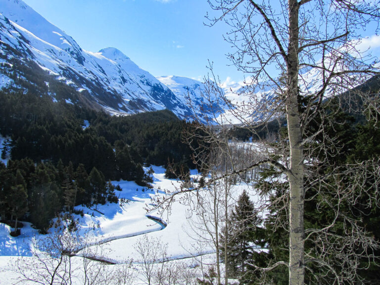 Alaska Railroad- 2010
