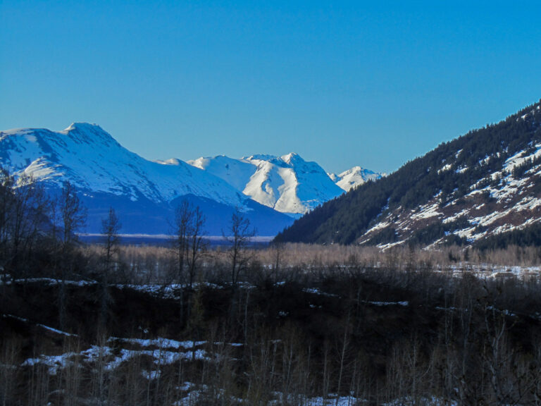 Alaska Railroad- 2010