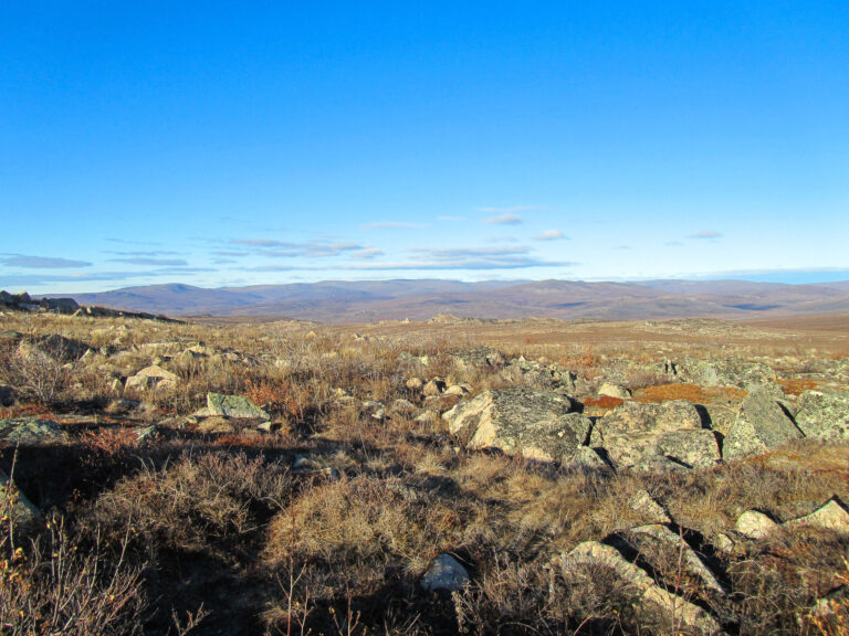 Arctic Circle - 2010