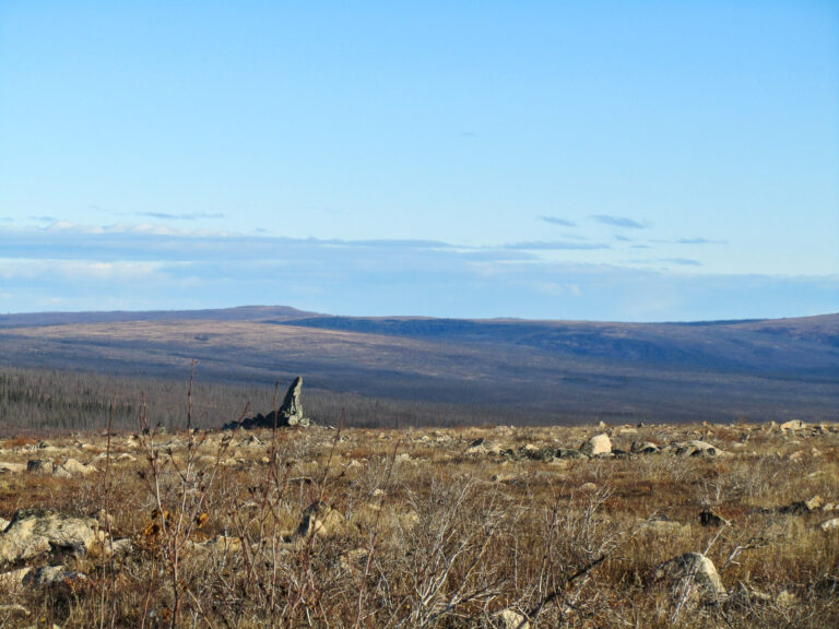 Arctic Circle - 2010