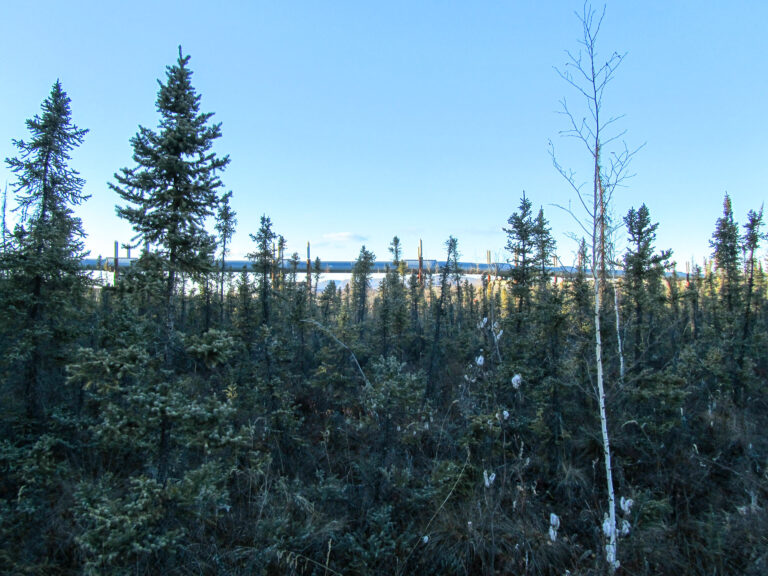 Arctic Circle - 2010