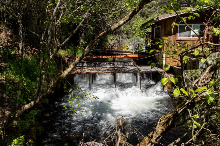 Bear Creek Weir - 2014