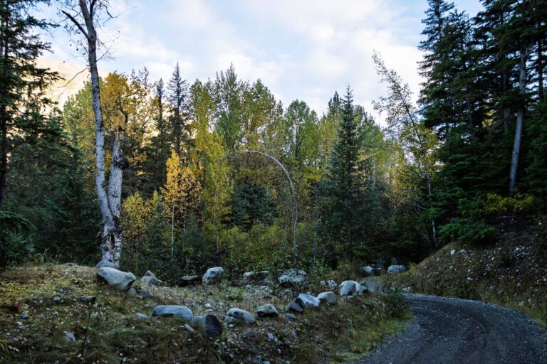 Bird Creek Falls - 2025