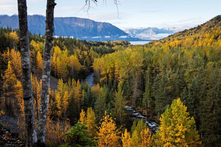 Bird Creek Falls - 2025