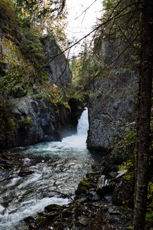 Bird Creek Falls - 2025